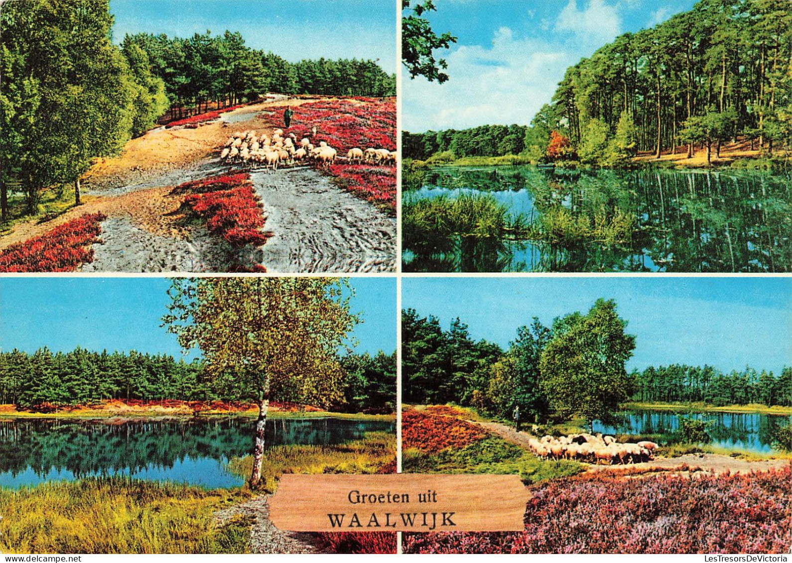 PAYS-BAS - Groeten Uit Waalwijk - Mutlivues - Carte Postale - Waalwijk