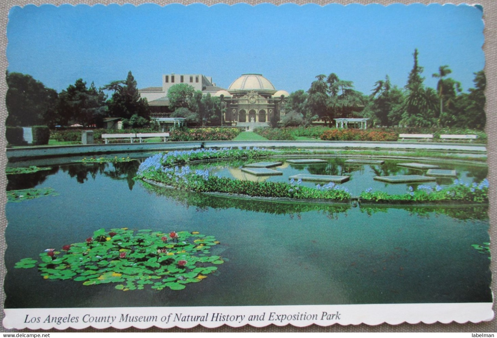 USA CALIFORNIA LOS ANGELES COUNTY MUSEUM NATURAL HISTORY CARD POSTCARD CARTE POSTALE POSTKARTE CARTOLINA ANSICHTSKARTE - Long Beach