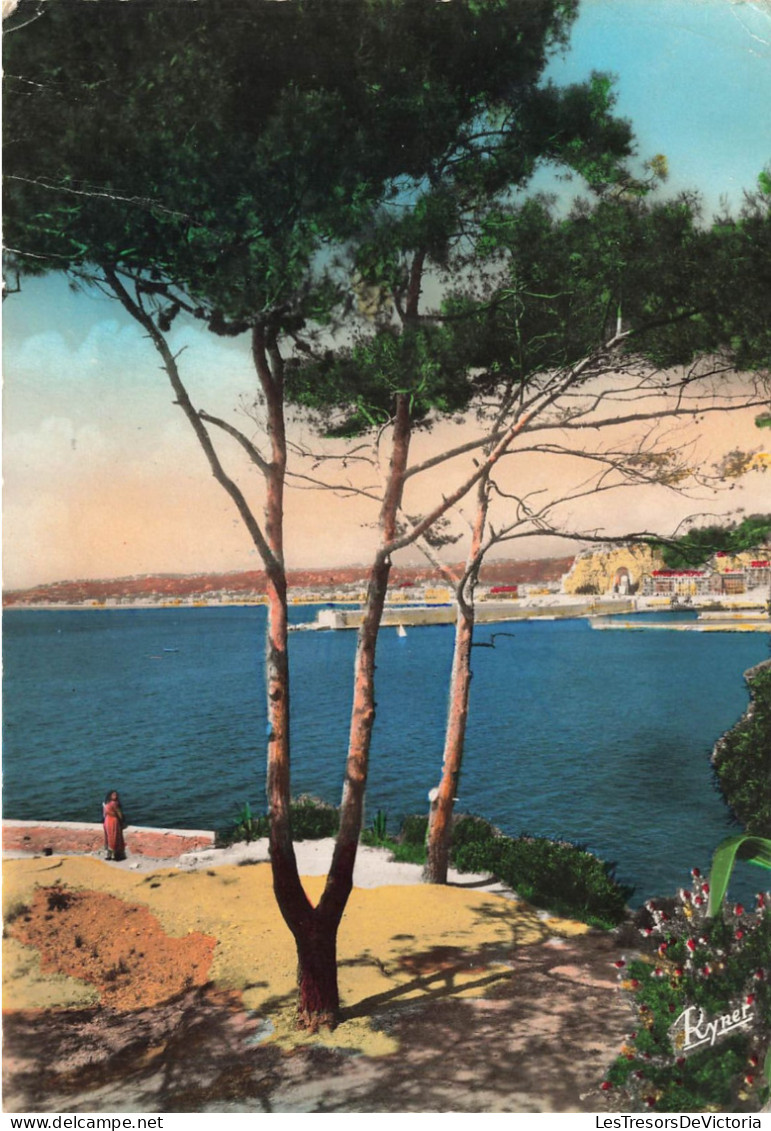 FRANCE - Nice - La Jetée Vue Du Jardin - Théodore De Benville - Colorisé - Carte Postale Ancienne - Sonstige & Ohne Zuordnung