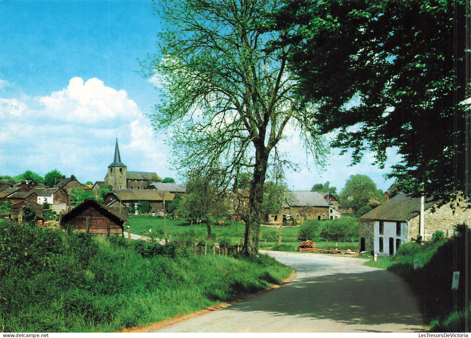 BELGIQUE - Ortho - Vue Générale - Environs De La Roche-en-Ardenne - Carte Postale - La-Roche-en-Ardenne