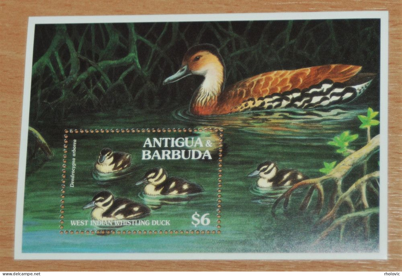 ANTIGUA & BARBUDA 1994, Birds, Ducks, Mi #B309, Souvenir Sheet, MNH** - Patos