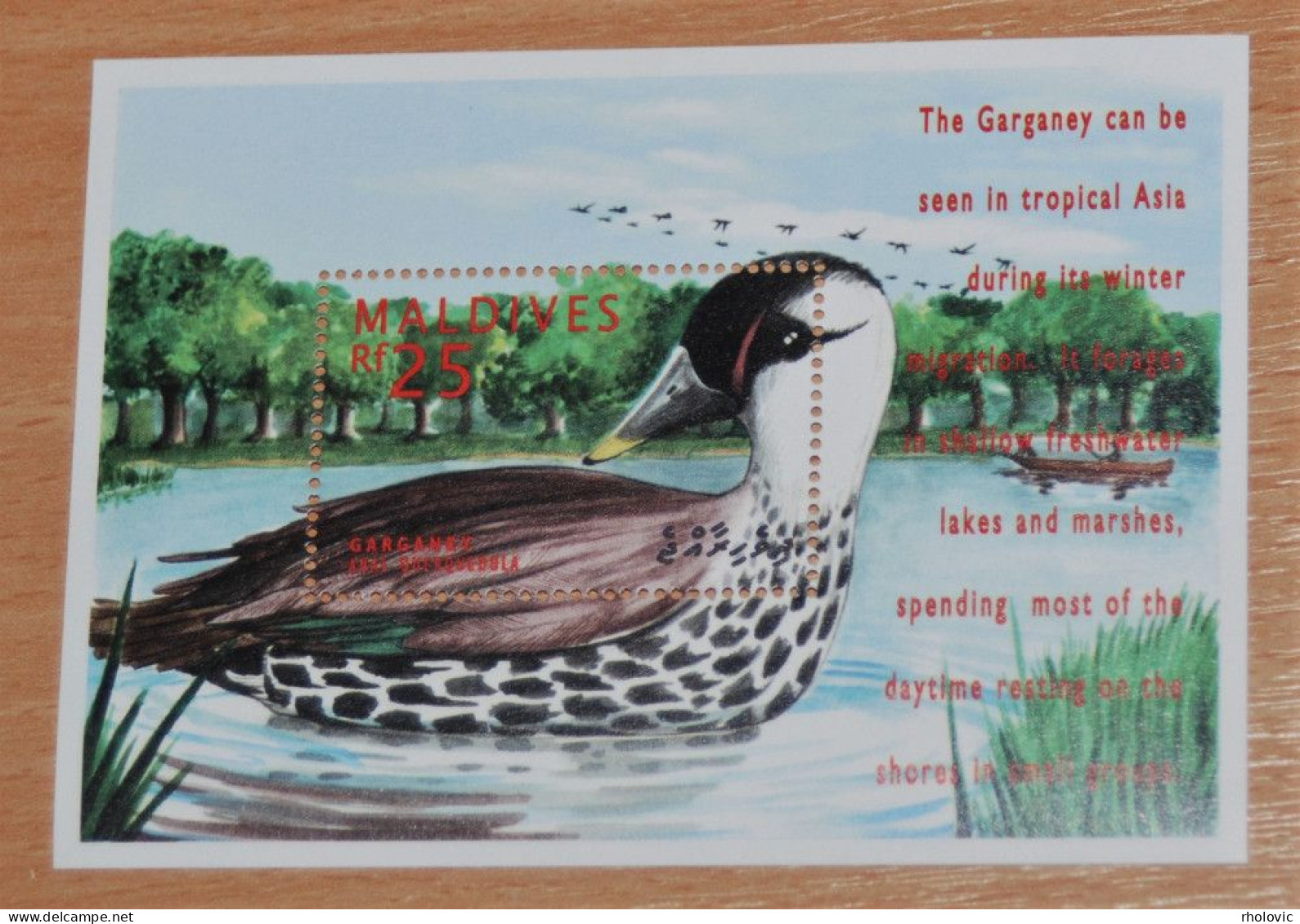 MALDIVES 1995, Birds, Ducks, Fauna, Mi #B323, Souvenir Sheet, MNH** - Patos