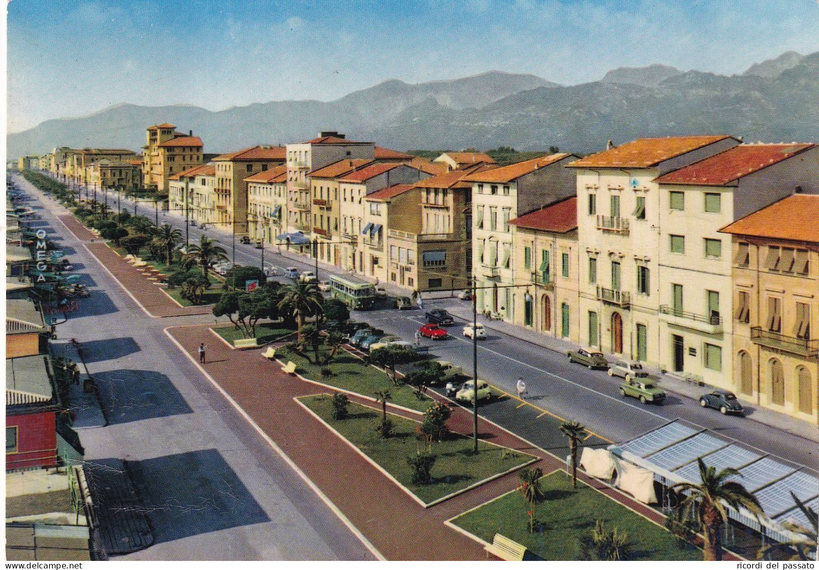 Cartolina Viareggio - Viali Lungomari - Alberghi - Viareggio