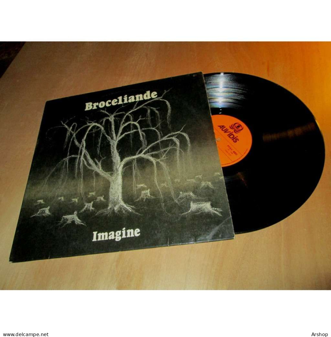 BROCELIANDE Imagine FRENCH FOLK ROCK - AUVIDIS PFAV 4003 Lp 1979 - Country En Folk