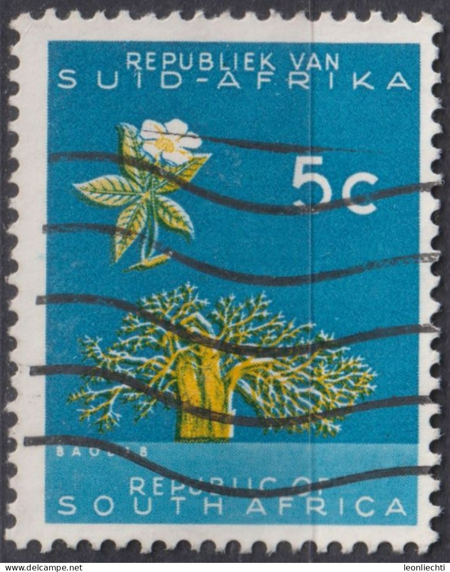 1961 Südafrika ° Mi:ZA 293, Sn:ZA 260, Yt:ZA 254, Baobab (Adansonia Digitata), Blume - Oblitérés