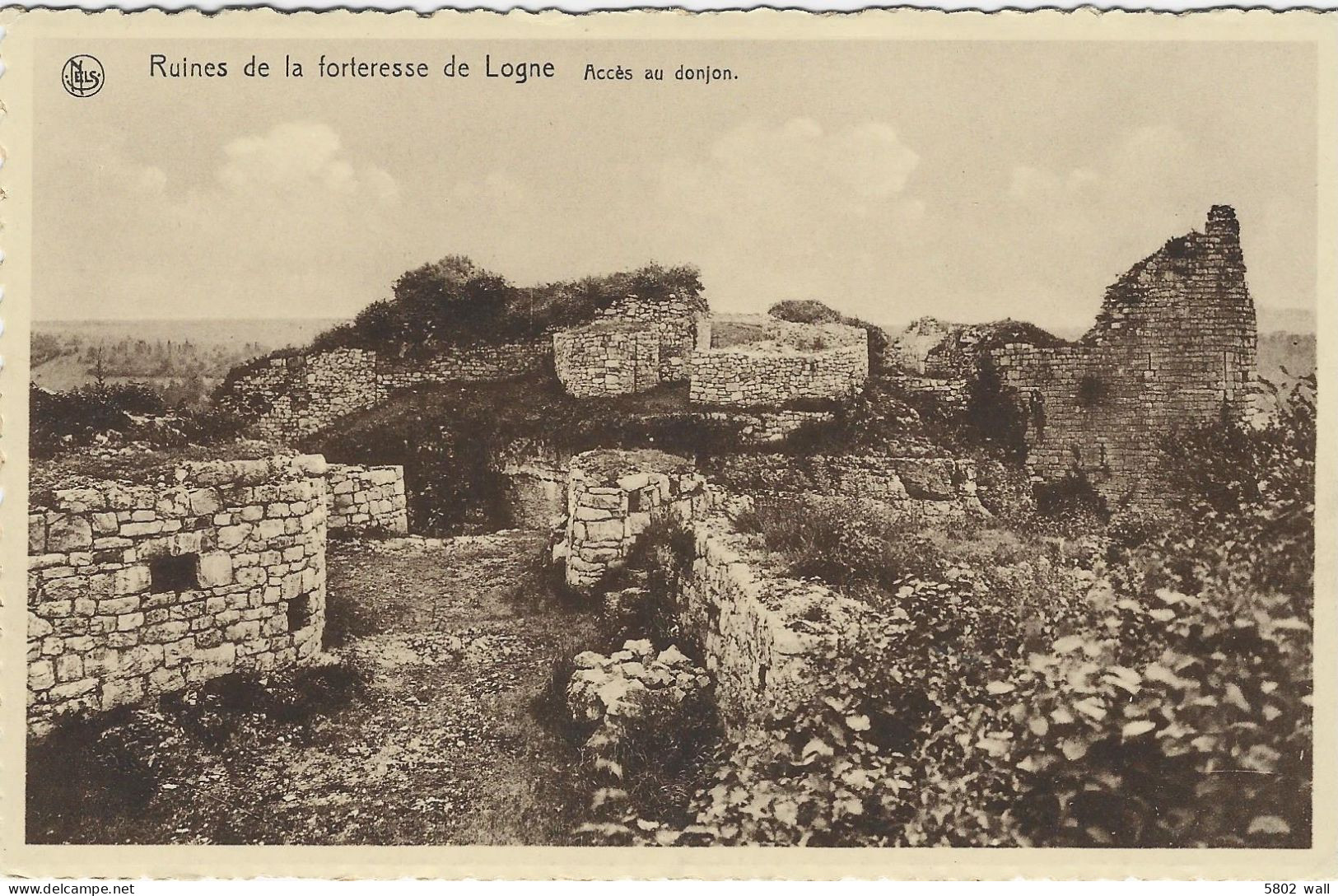 FERRIERES-LOGNE : Ruines De La Forteresse - Accès Au Donjon - Ferrieres