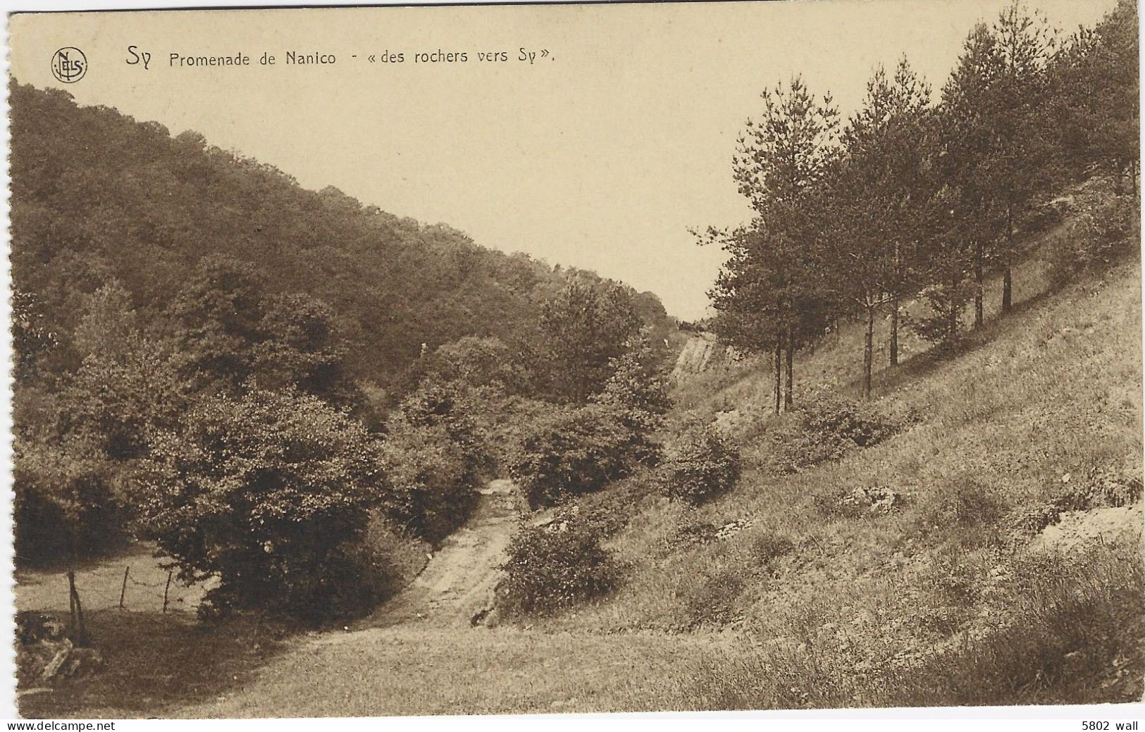 FERRIERES - SY : Promenade De Nanico "Les Rochers Vers Sy" - Ferrieres