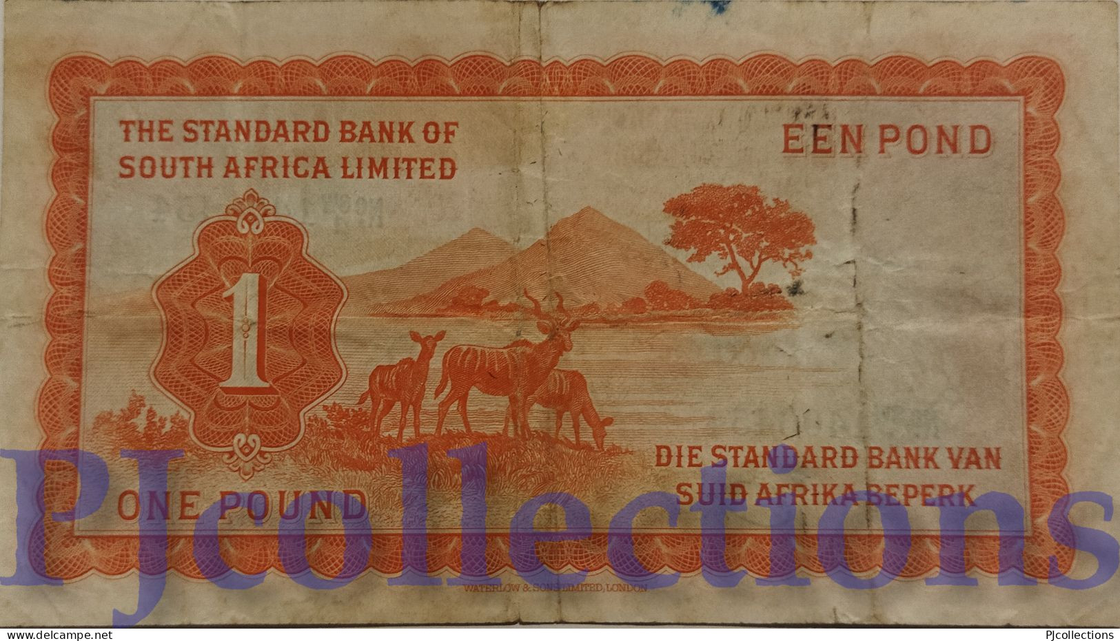 SOUTH WEST AFRICA 1 POUND 1958 PICK 11 AVF - South Africa