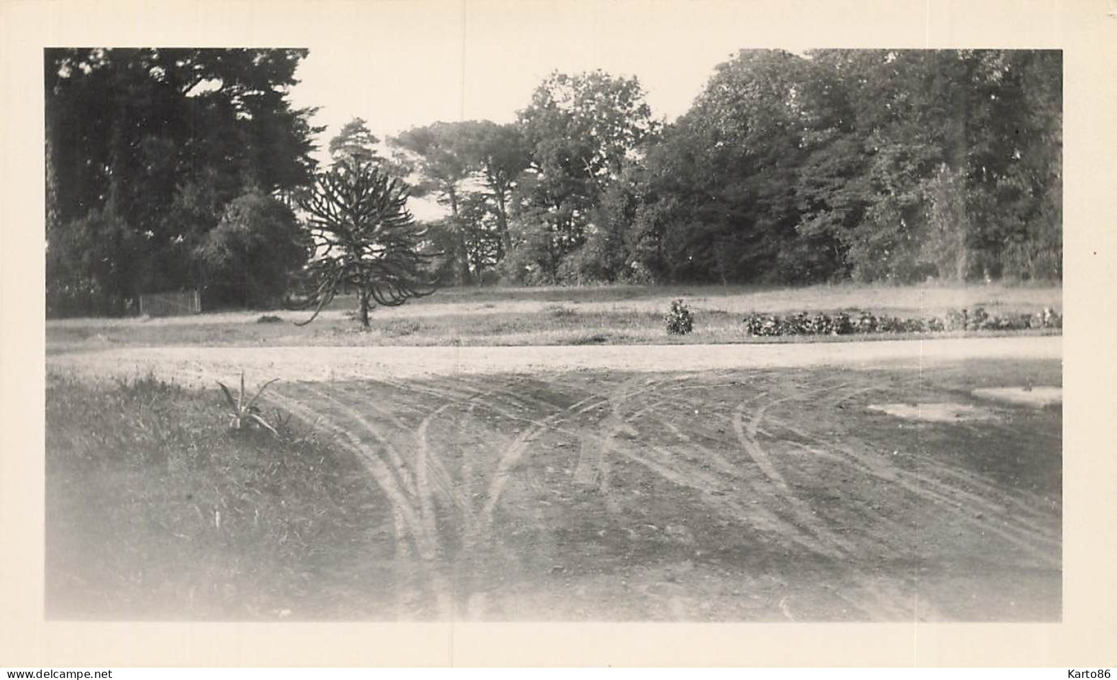 Frossay * RARE 7 Photos Anciennes + 2 CPA * Château Ker Aulen , Ses Propriétaires , Ses Dépendances * 11.5x7.5cm - Frossay