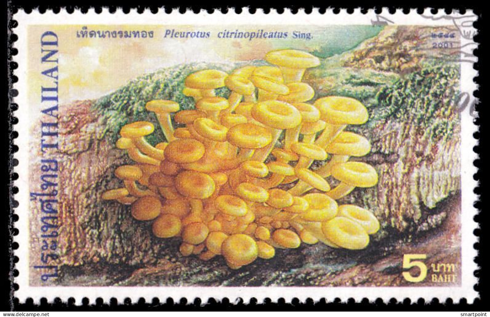 Thailand Stamp 2001 Mushrooms (3rd Series) 5 Baht - Used - Thailand