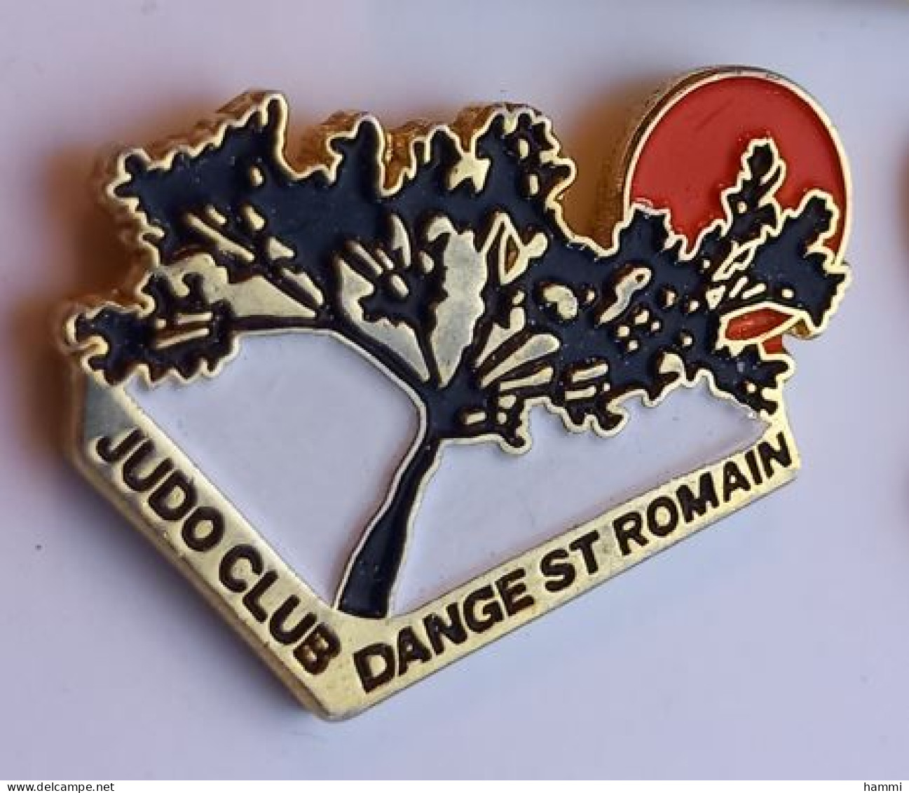 SP62 Pin's JUDO Club Dangé Saint Romain ST Vienne Achat Immédiat - Judo