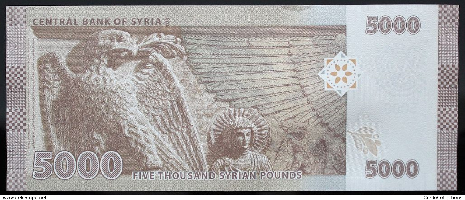 Syrie - 5000 Pounds - 2023 - PICK 118c - NEUF - Syria