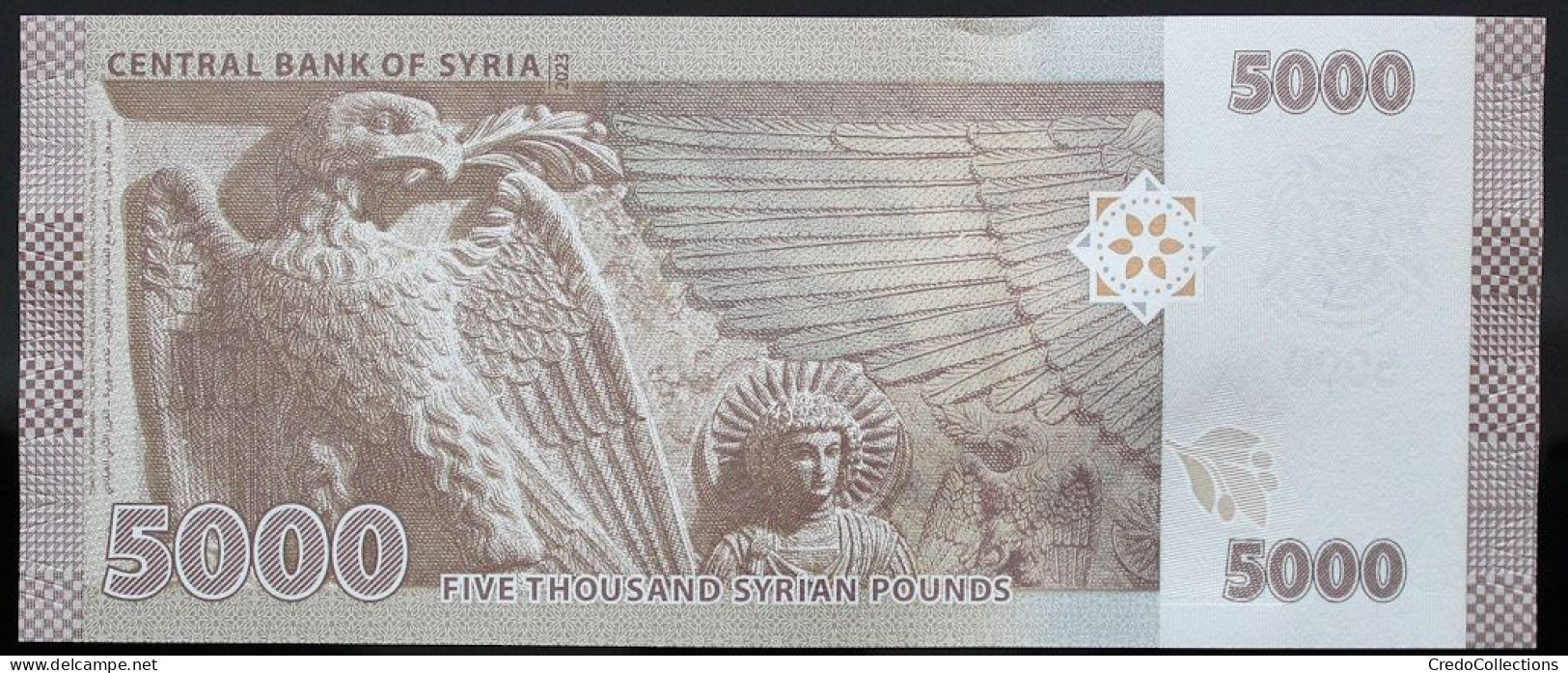 Syrie - 5000 Pounds - 2023 - PICK 118c - NEUF - Siria