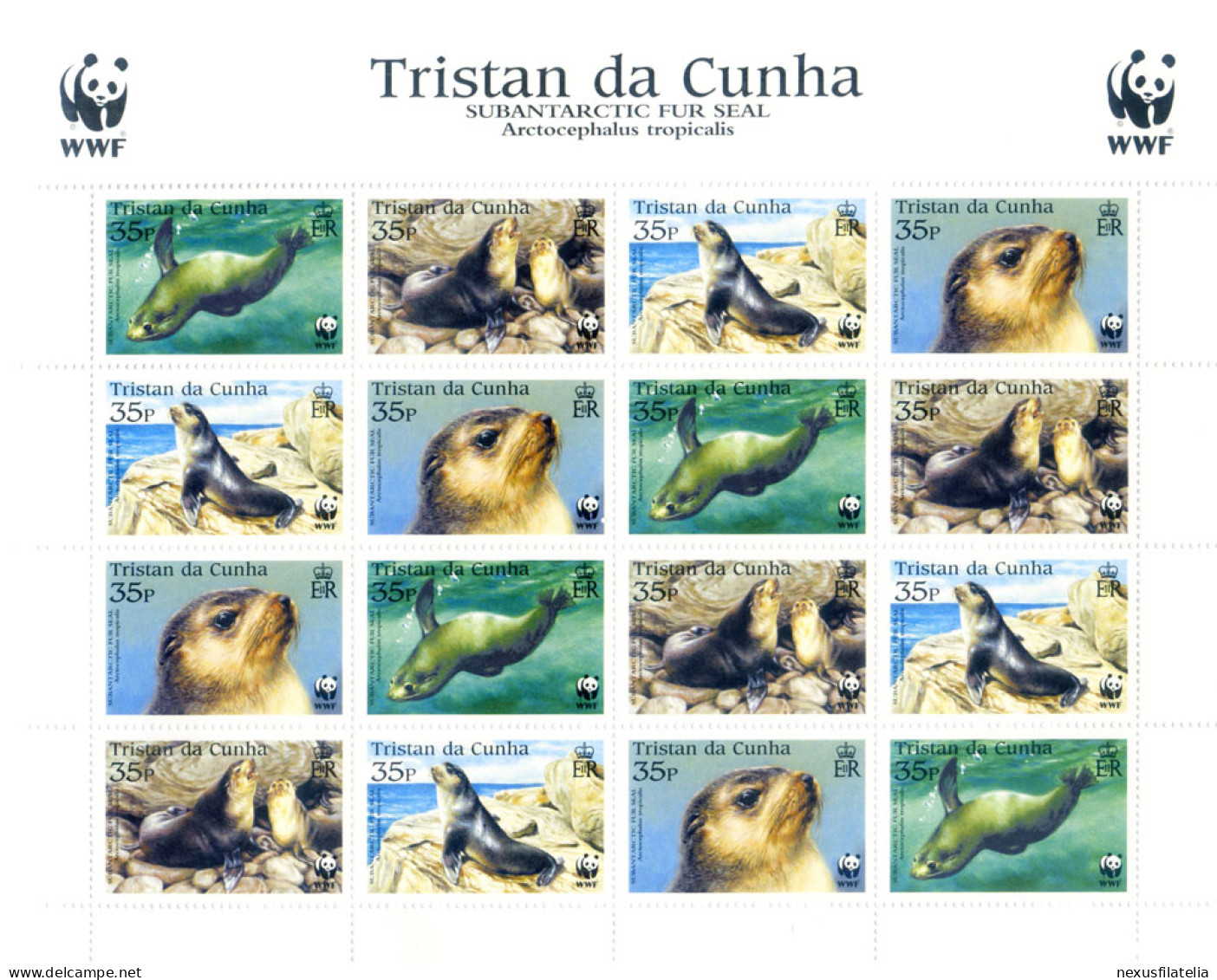 Fauna. WWF. Foche 2004. - Tristan Da Cunha