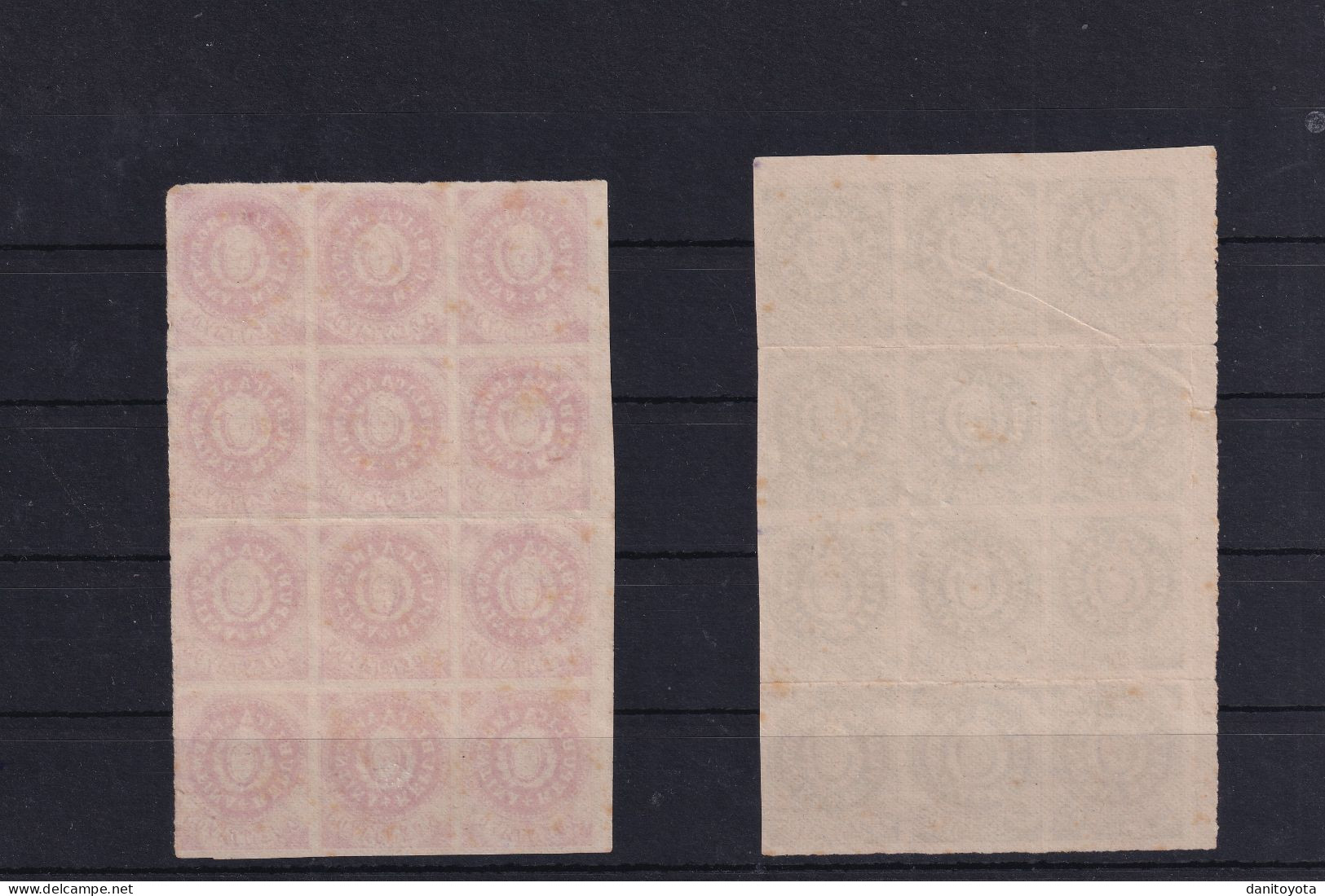 Argentina. Dos Bloques De 12 Sellos De Los Valores 5c Y 15c. Y Todos Sin Goma - Unused Stamps