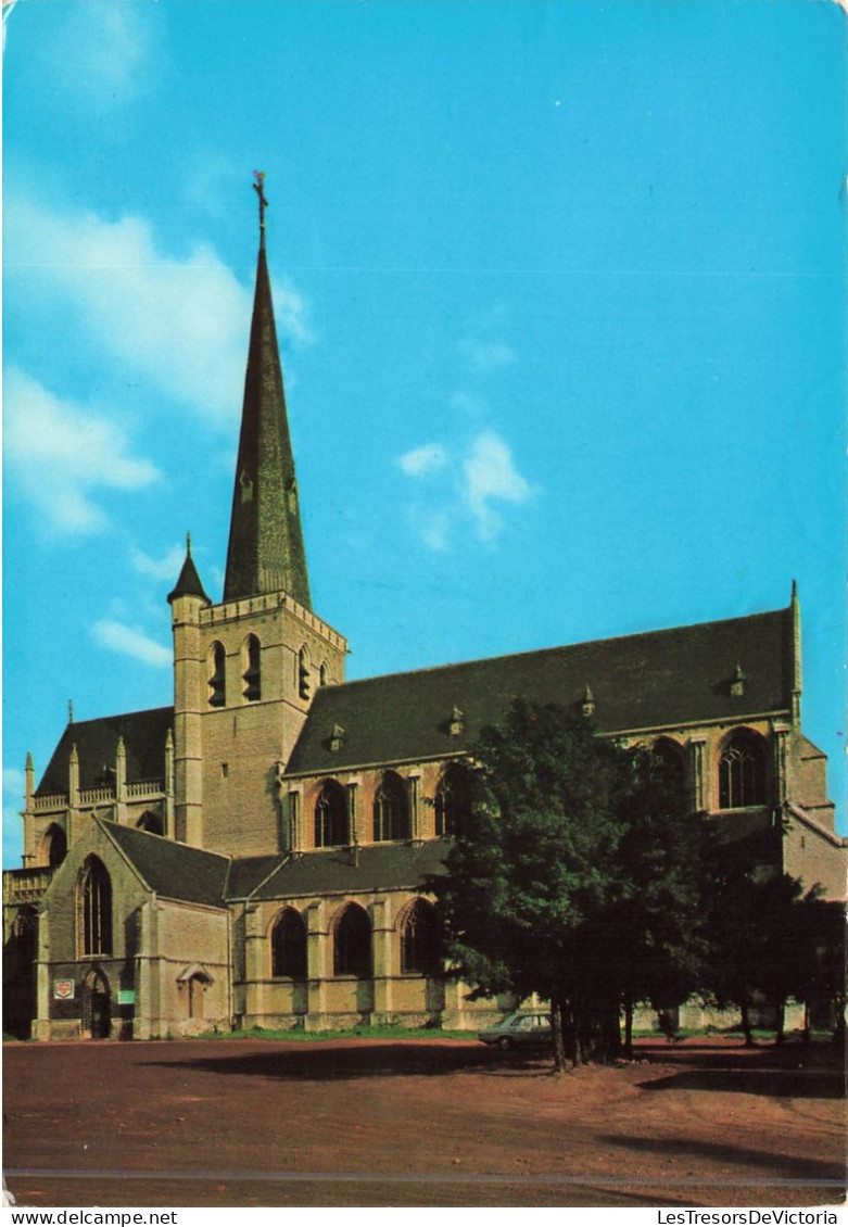 BELGIQUE - Hoogstraten - Vrijheid Met St Katharinakerk - Carte Postale - Hoogstraten