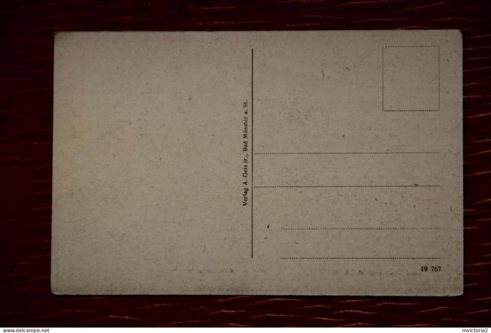 ALLEMAGNE : BAD MUNSTER A.STEIN : Parie Aus Dem Kurgarten - Bad Muenster A. Stein - Ebernburg