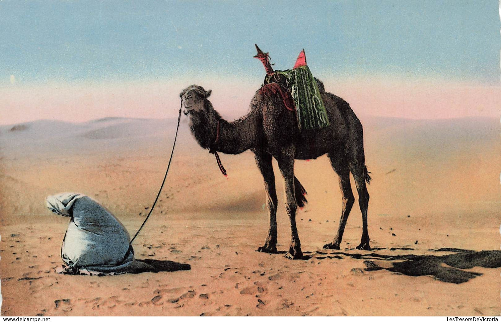 ALGERIE - Scènes Et Types - La Prière Au Départ - Carte Postale - Scenes