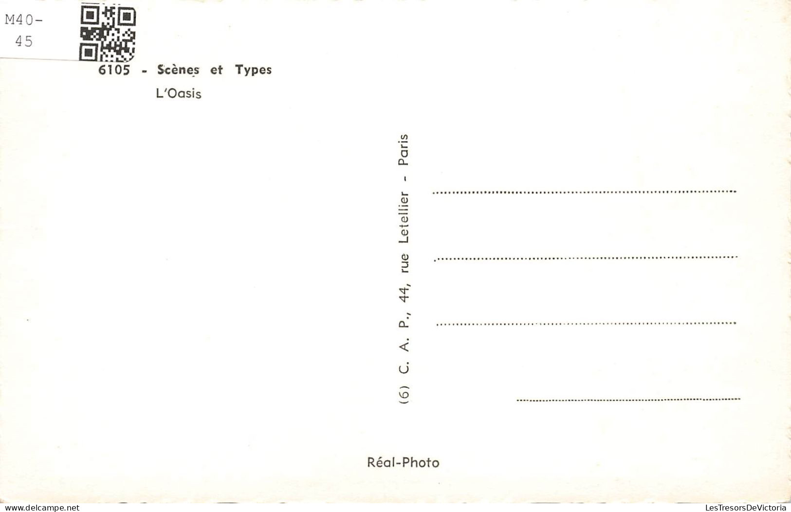 ALGERIE - Scènes Et Types - L'Oasis - Chameaux - Carte Postale - Escenas & Tipos