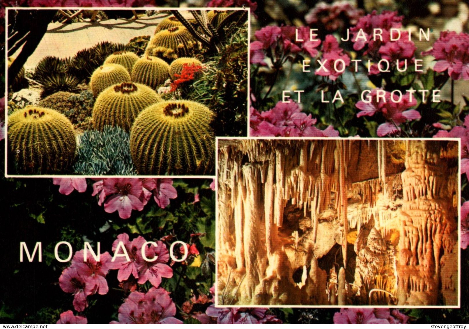 Monaco Le Jardin Exotique Et La Grotte 1979 Dupuy Tours Multi Vue Generale - Exotic Garden