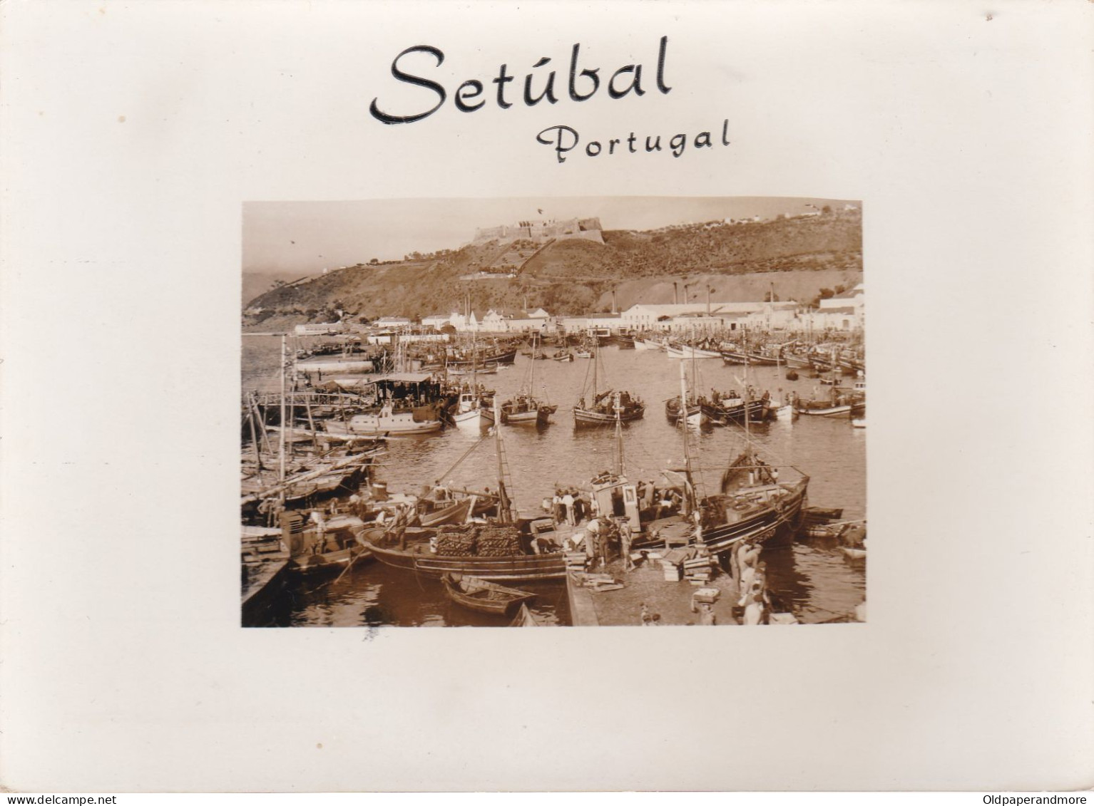 POSTCARD PORTUGAL - SETUBAL - Setúbal