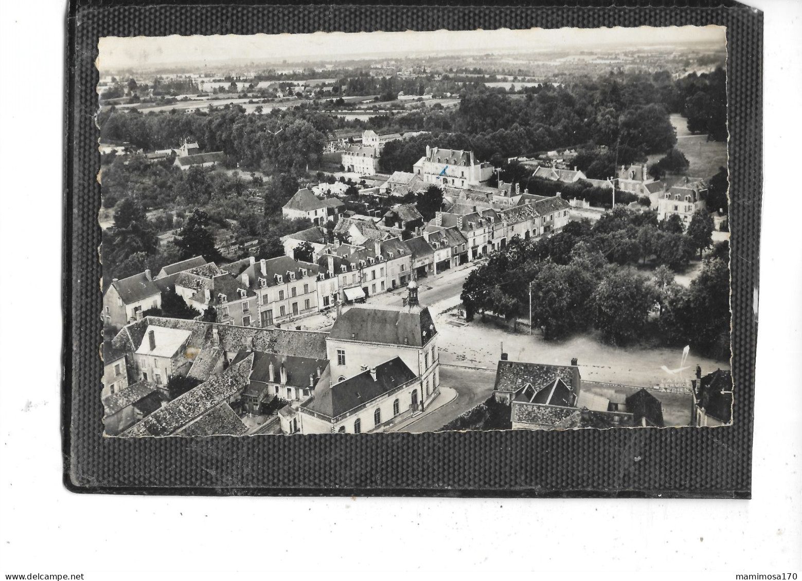 86- PLEUMARTIN- Une Vue Generale Aérienne Du Village - Pleumartin