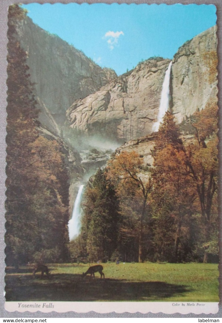 USA NEW YORK YOSEMITE FALLS NATIONAL PARK KARTE CARD POSTCARD CARTE POSTALE POSTKARTE CARTOLINA ANSICHTSKARTE - Long Beach