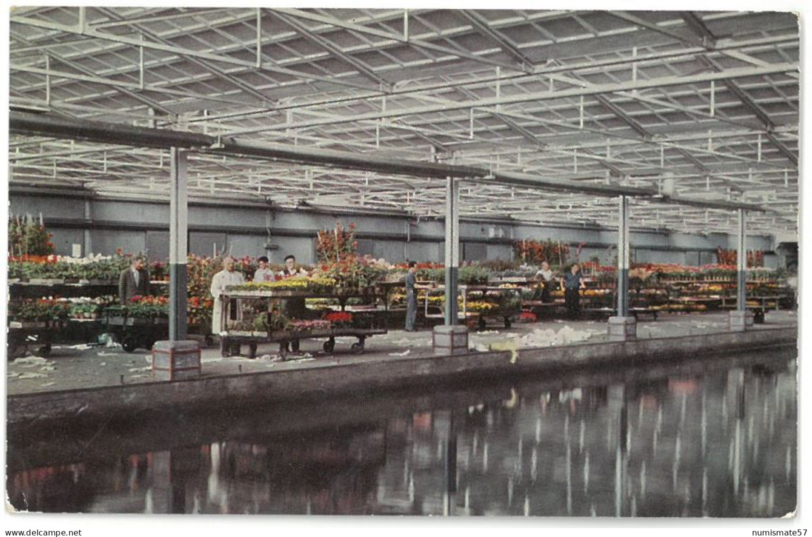 CPSM AALSMEER - Centrale Aalsmeersche Veiling - Perron Voor Perkplanten Met Aanvoer-kanaal - Année 1963 - Aalsmeer