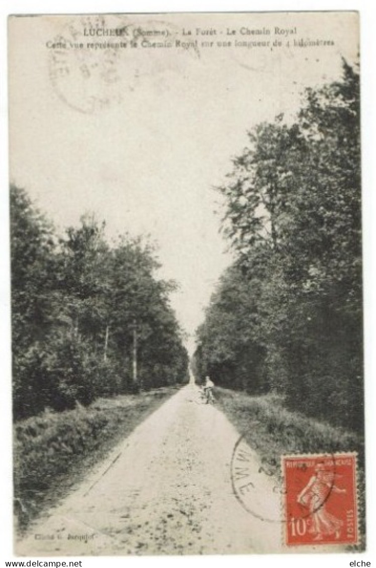 Lucheux. La Forêt. Le Chemin Royal. - Lucheux