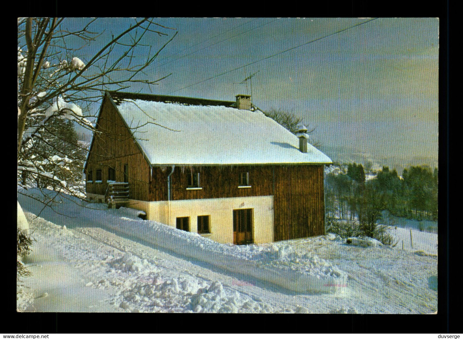 88 Vosges Saulxures Sur Moselotte  " Les Tayeux " Relais International De La Jeunesse - Saulxures Sur Moselotte