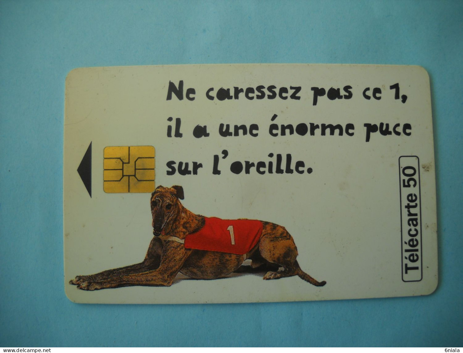 7625  Télécarte Collection JEUX  LOTO Ne Caressez Pas Puce Sur L 'oreille Chien     ( 2 Scans)   Carte Téléphonique - Giochi