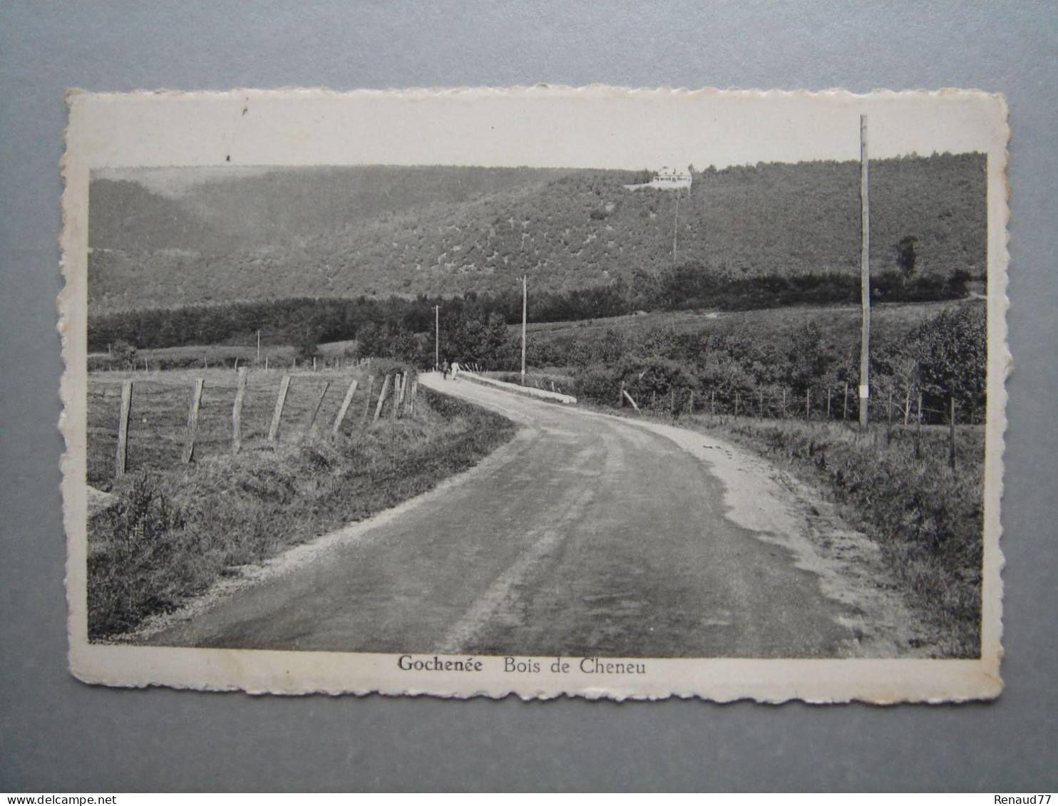 Gochenée -  Doische - Bois De Cheneu - Doische