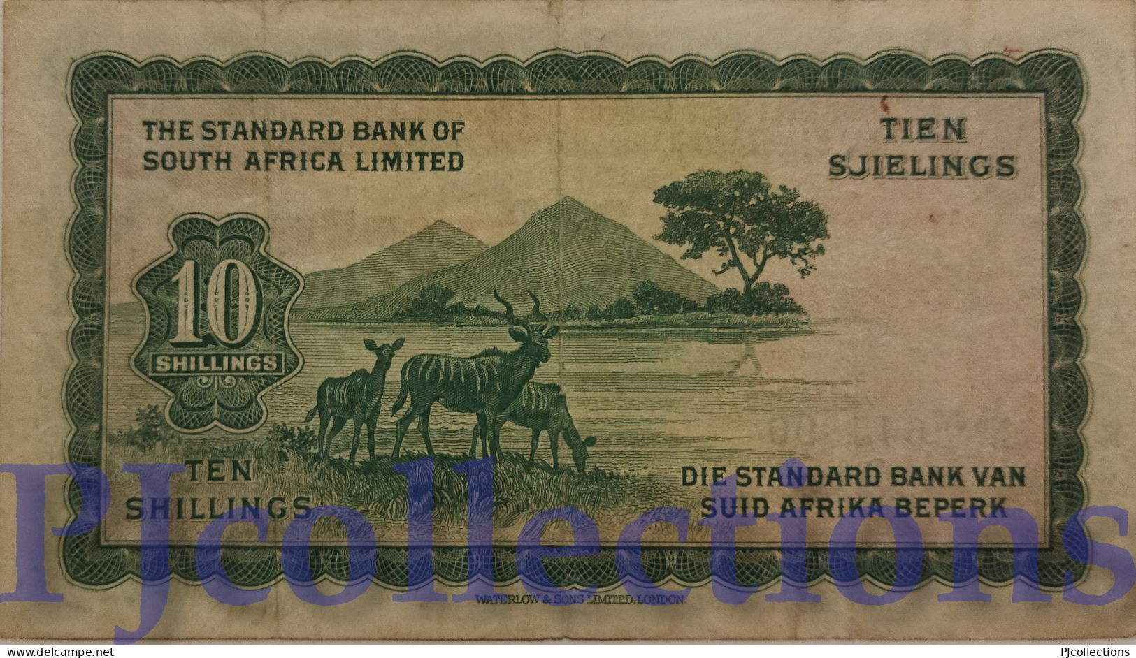 SOUTH WEST AFRICA 10 SHILLINGS 1955 PICK 10 VF RARE - Zuid-Afrika