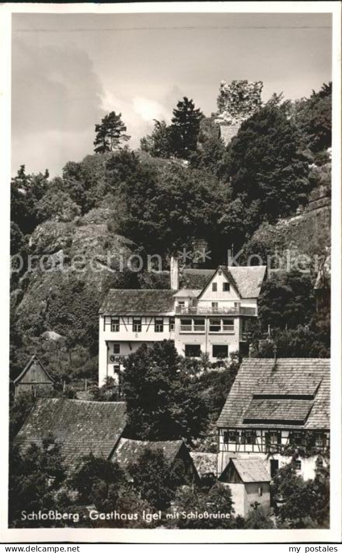 41783304 Osternohe Lauf Gasthaus Igel Schlossberg Osternohe Lauf - Lauf