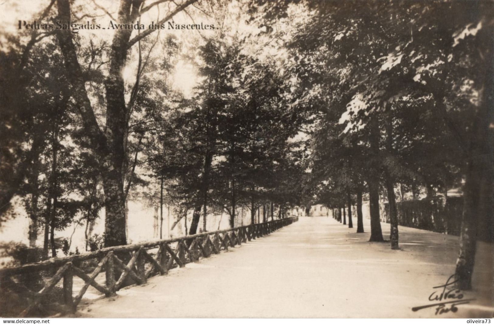 PEDRAS SALGADAS - Avenida Das Nascentes - PORTUGAL - Vila Real