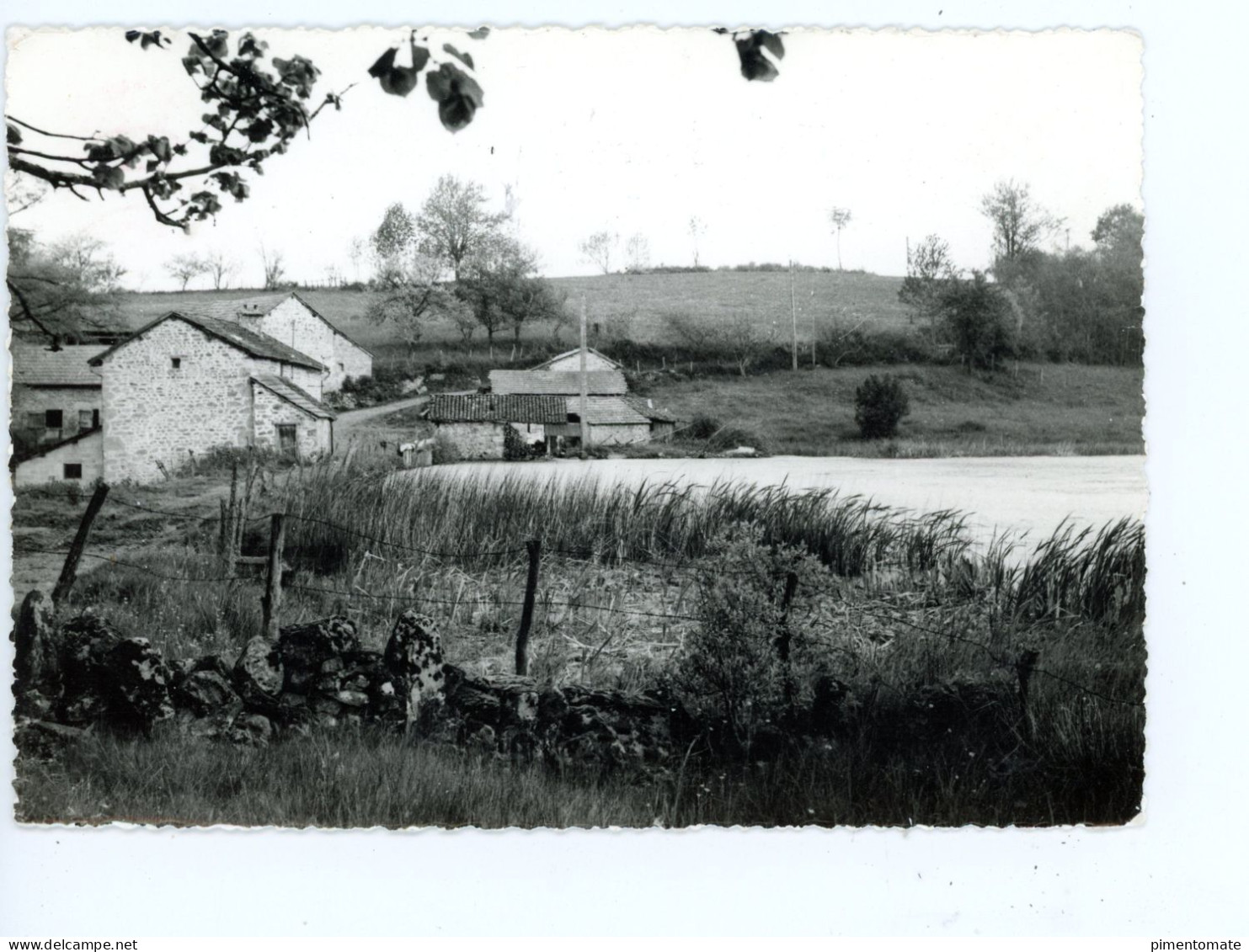 SAINT ANNE SAINT PRIEST MOULIN DE LA FORGE CARTE PHOTO 1983 - Saint Priest Taurion