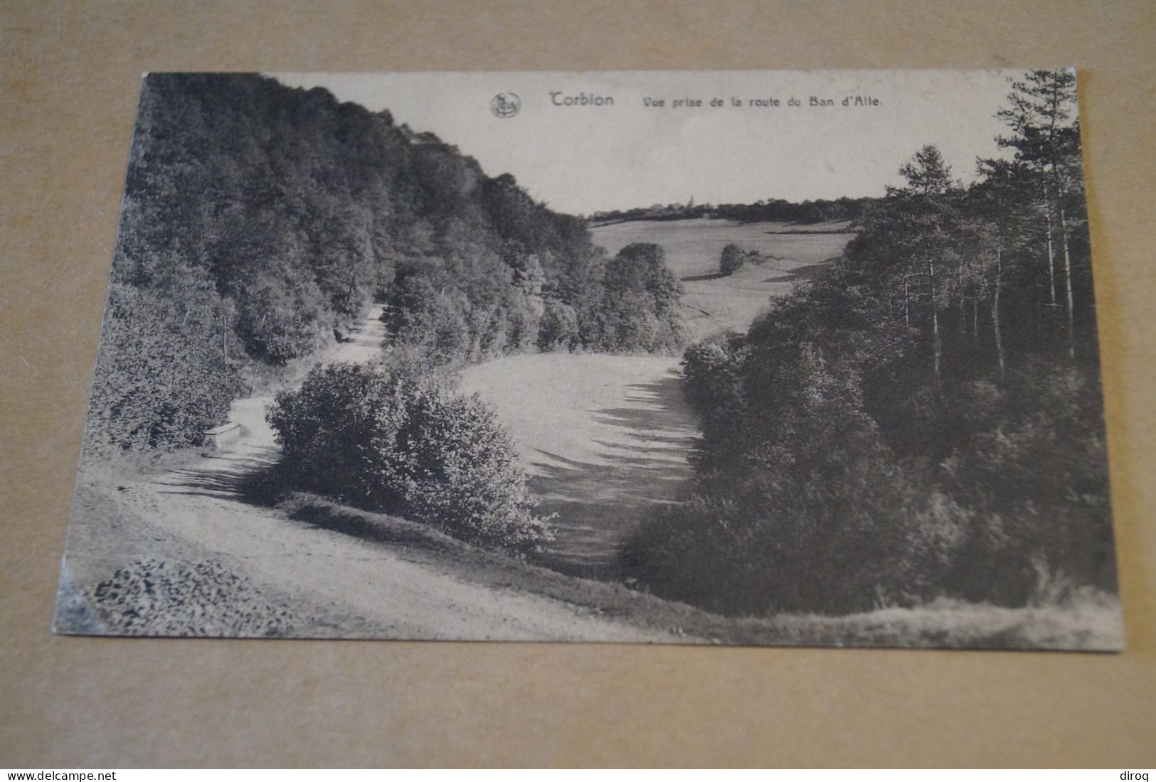 Superbe Ancienne Carte,Corbion,vue Prise De La Route Du Ban D'Alle,pour Collection - Other & Unclassified