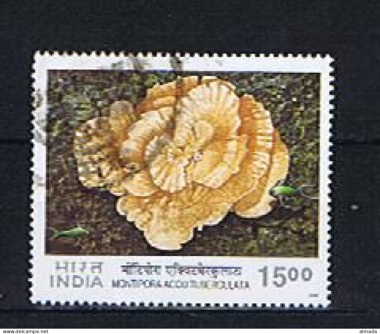 India 2001: Michel 1844 Used,  Gestempelt - Oblitérés