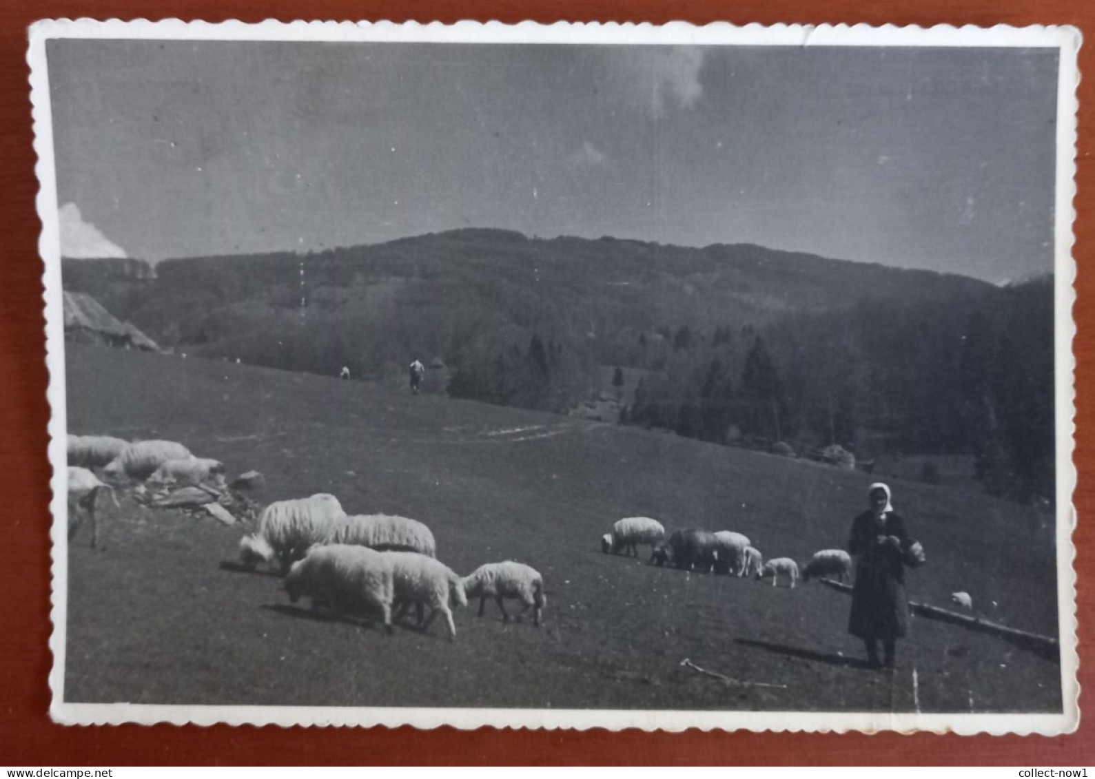 #1 SRBIJA - SERBIA  - USCE / RASKA  / IVANJICA - RADOCELO MOUNTAIN - Serbie