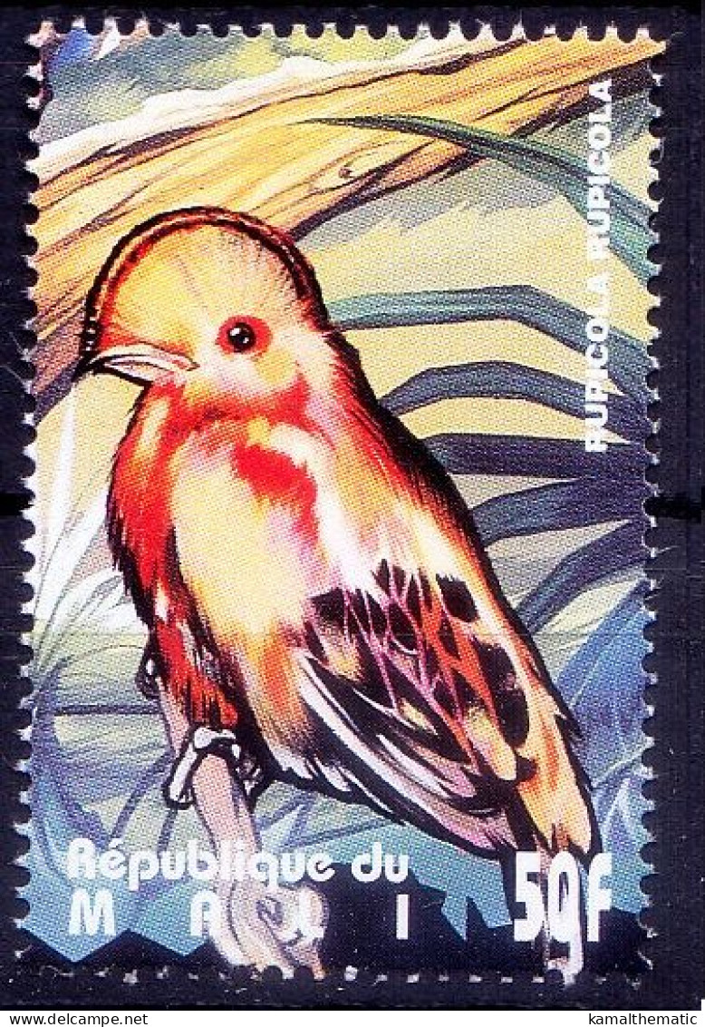 Mali 1995 MNH, Birds, Guianan Cock-of-the-rock (Rupicola Rupicola) - Specht- & Bartvögel