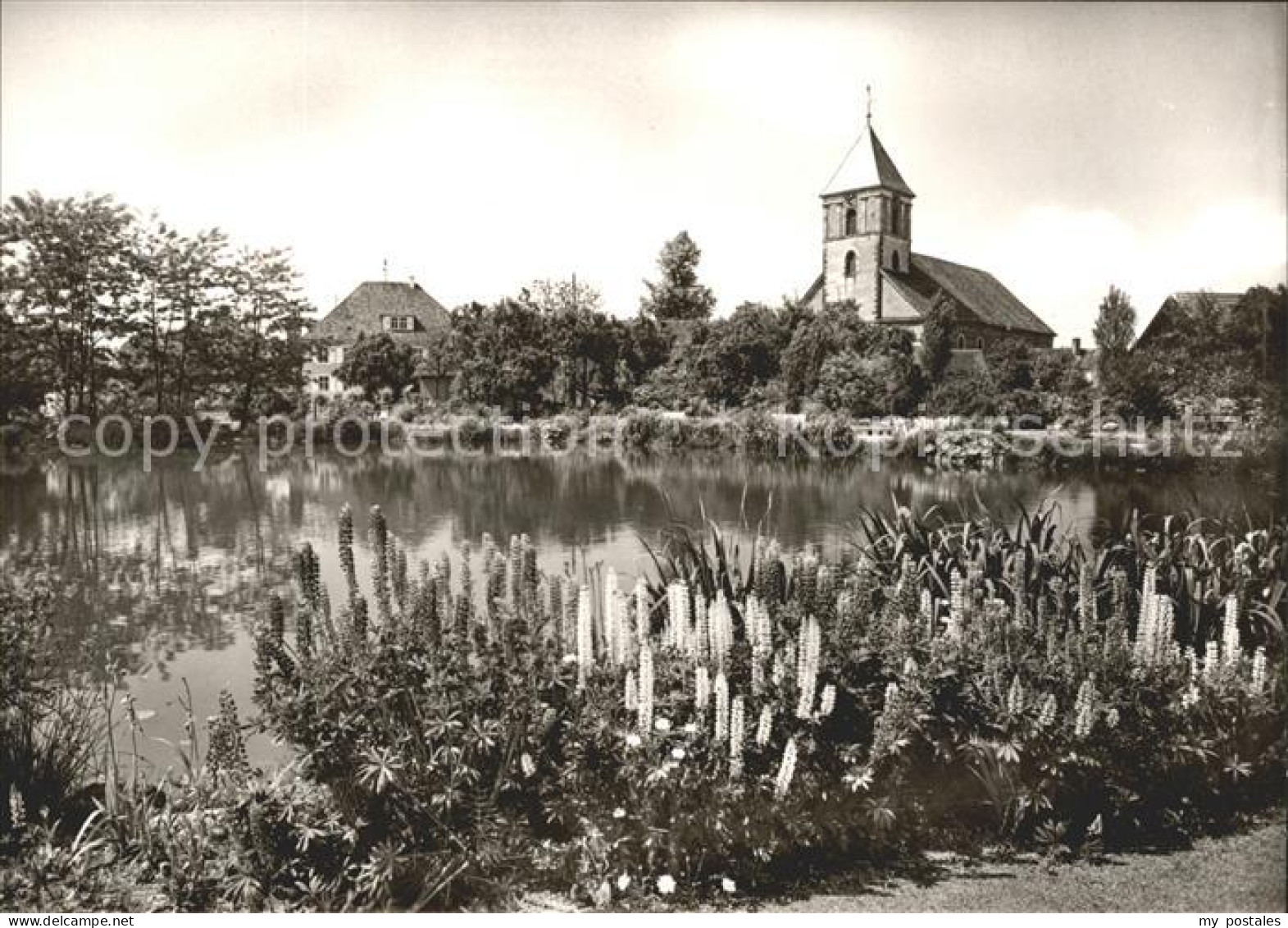 41768129 Achern Baden Stadtgarten Achern Baden - Achern