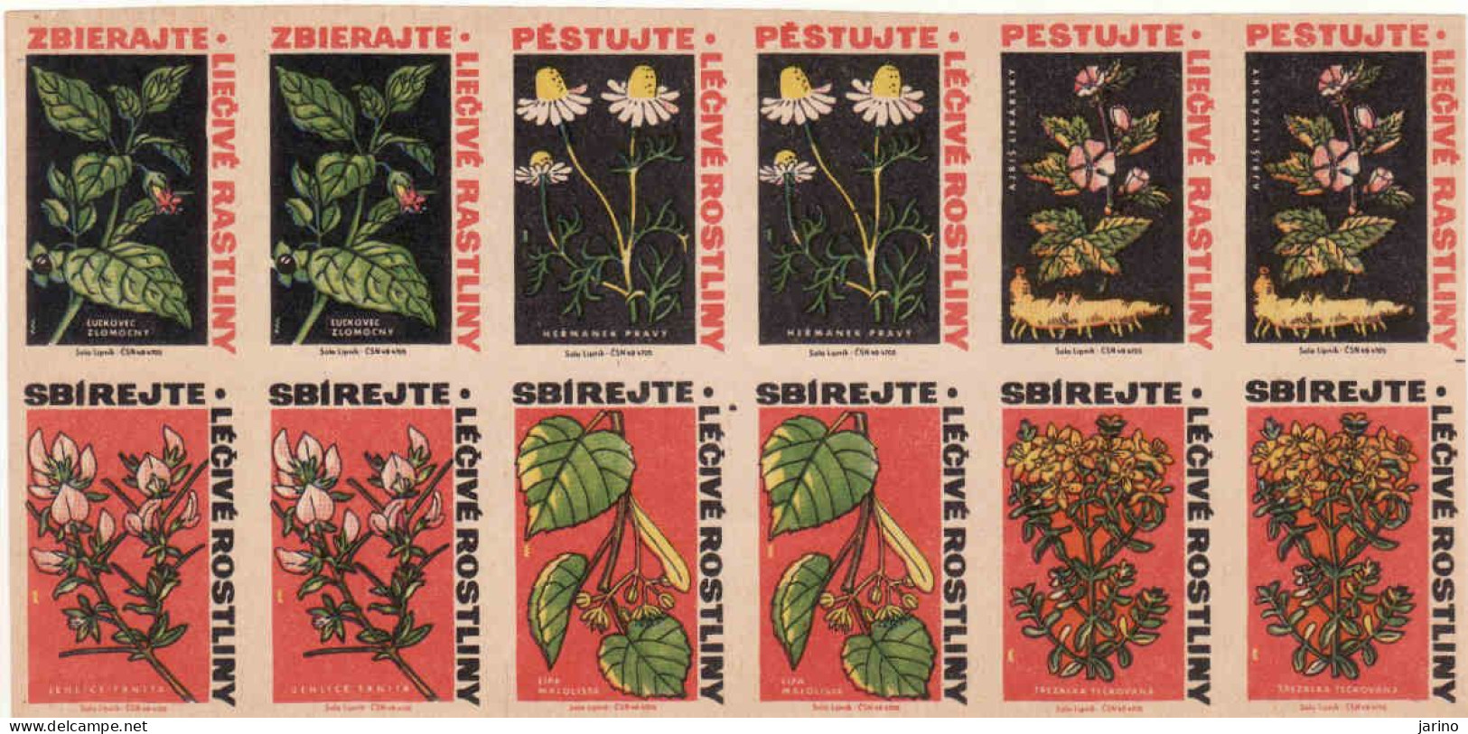 Czechoslovakia - Czechia 12 Matchbox Labels, Collect And Grow Medicinal Plants - Boites D'allumettes - Etiquettes