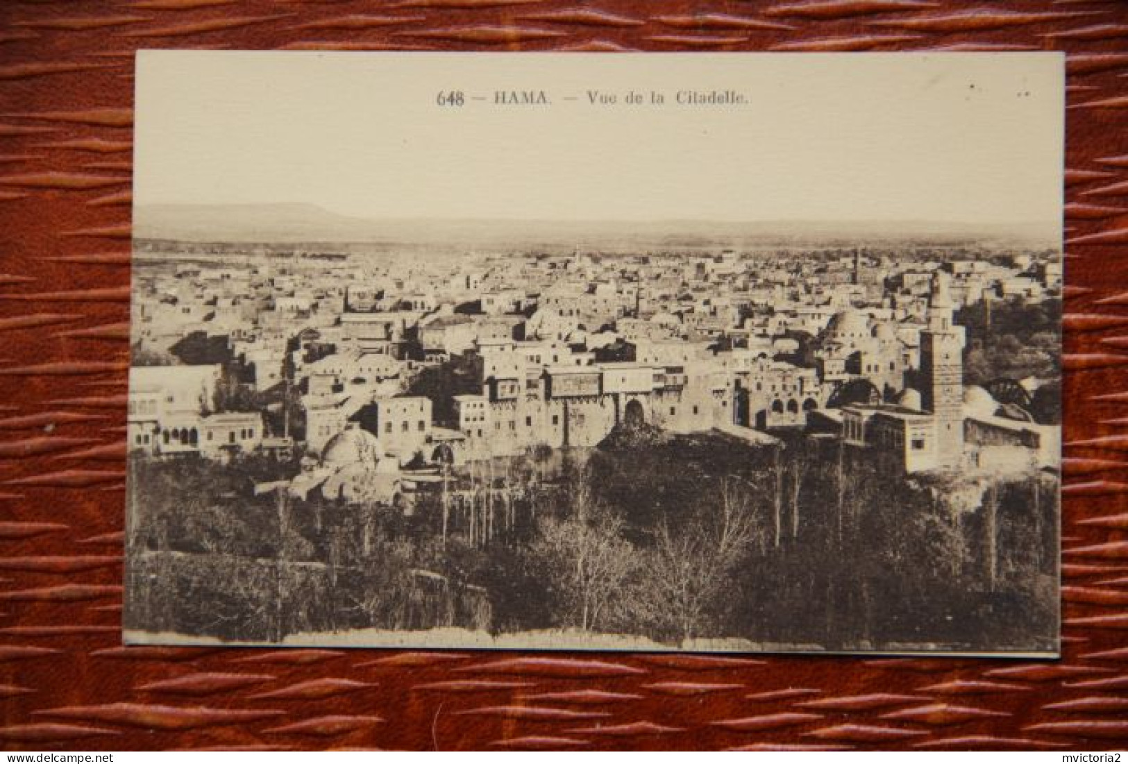 SYRIE - HAMA : Vue De La Citadelle - Syrien