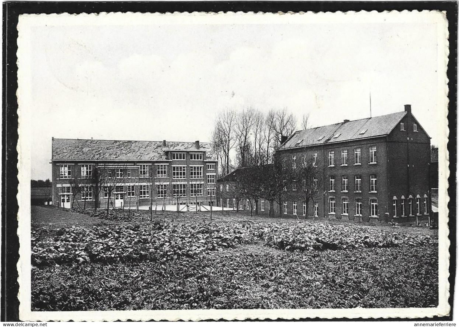 Borchtlombeek-Strijtem. - Medico-Paedagogisch Instituut - St. Franciscus - Roosdaal