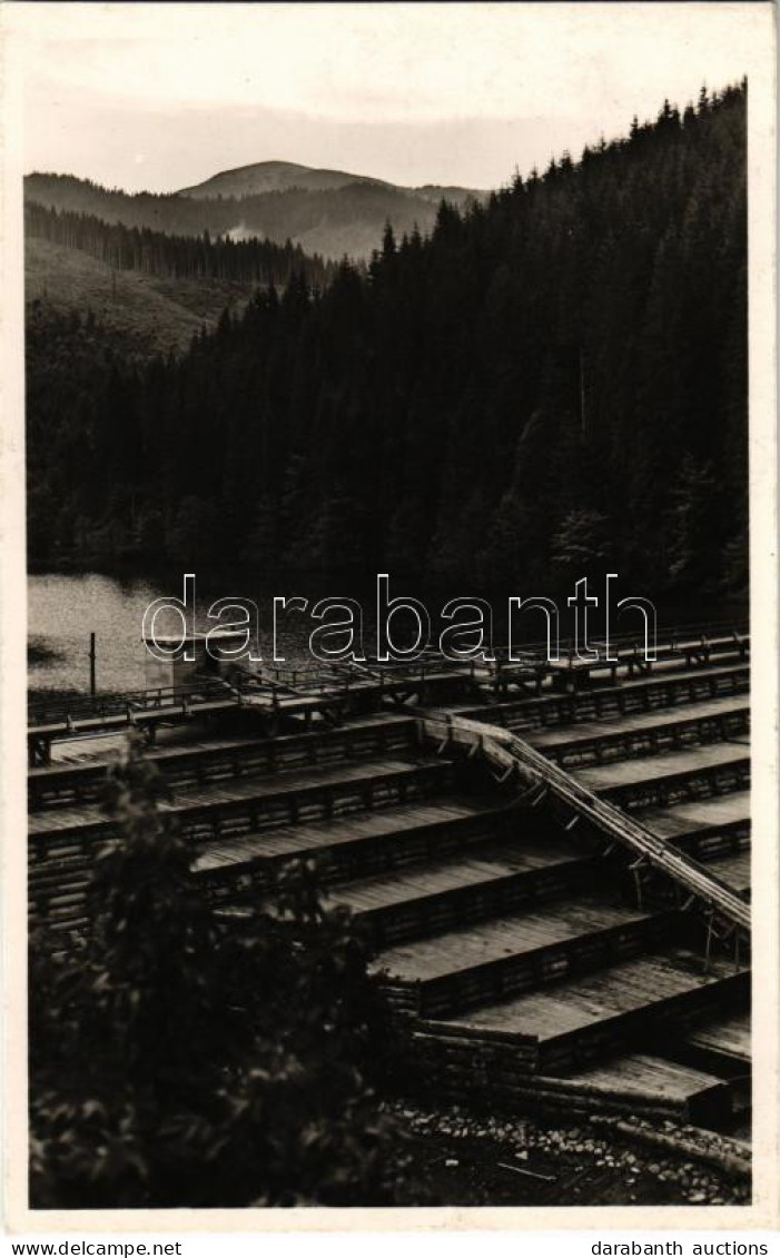 * T2 Hoverla, Tisza Gát. Kiadja Hangya Fogyasztási Szövetkezet Tiszabogdány / Dam - Ohne Zuordnung