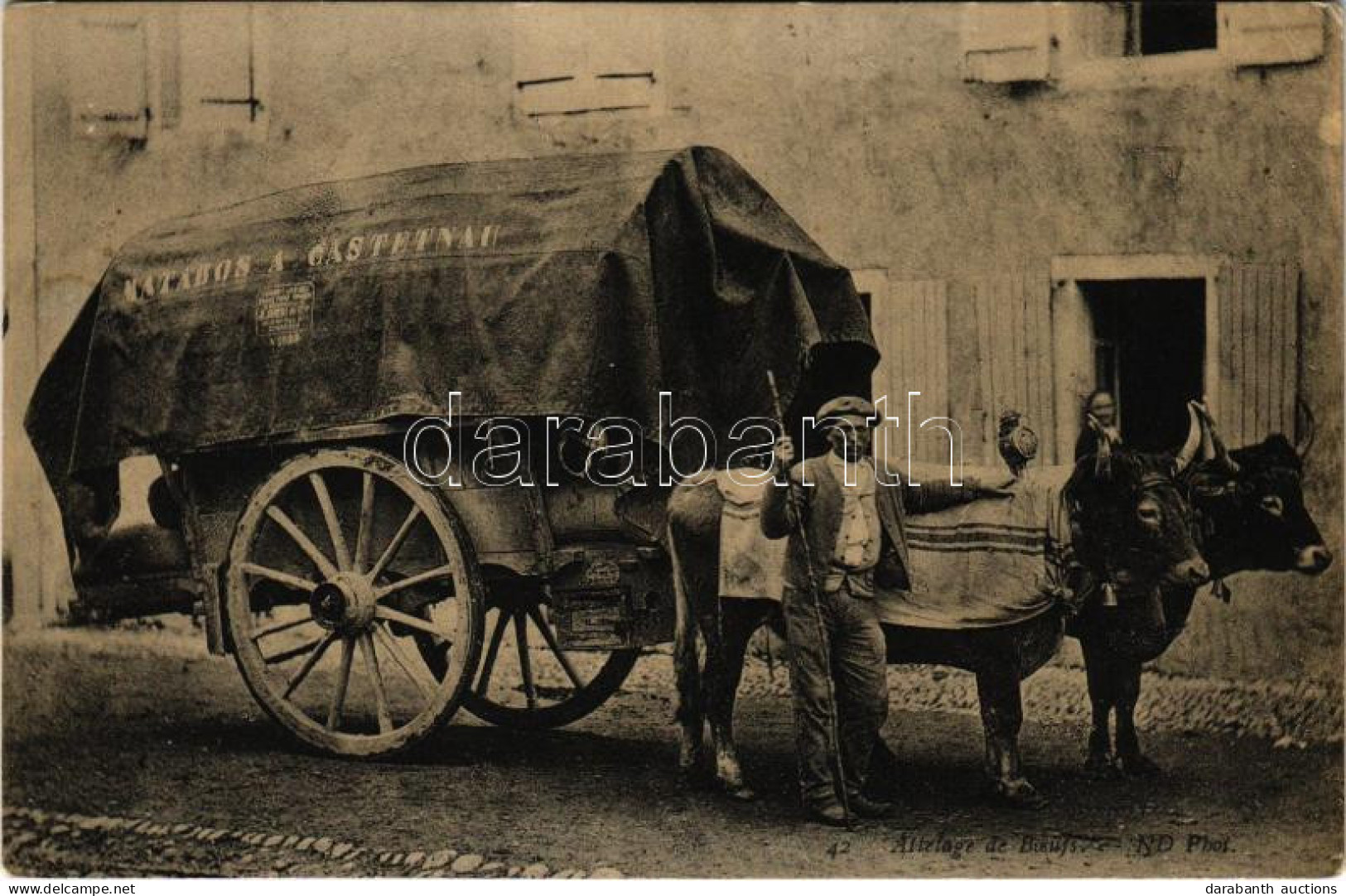 ** T1/T2 Castetnau-Camblong, Attelage De Boeufs Matabos A Castetnau / French Oxen Cart / Francia ökör Szekér - Non Classés