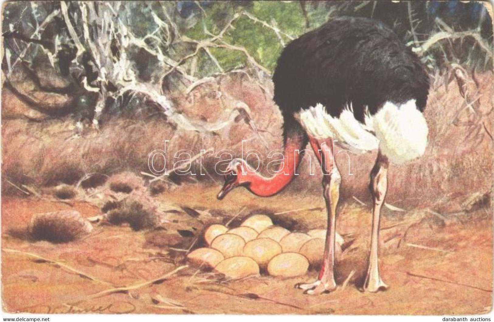 T3 Ostrich With Eggs. H.K. & Co. M. Serie 460. (EB) - Sin Clasificación