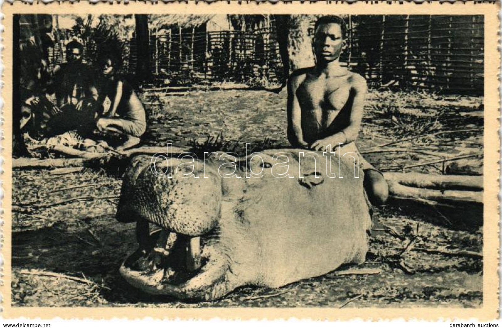 * T2/T3 Congo, Tete D'hippopotame / African Folklore, Hippopotamus Head (EK) - Ohne Zuordnung