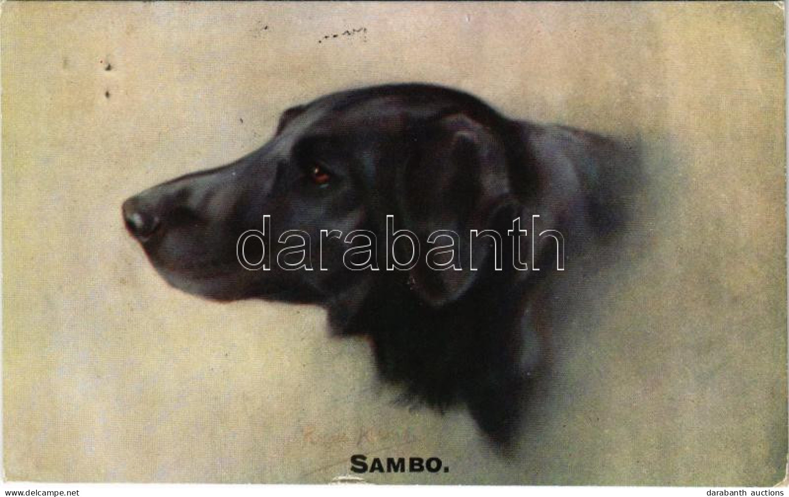 T2/T3 1915 Sambo / Dog Art Postcard. Celesque Series (kis Szakadás / Small Tear) - Sin Clasificación