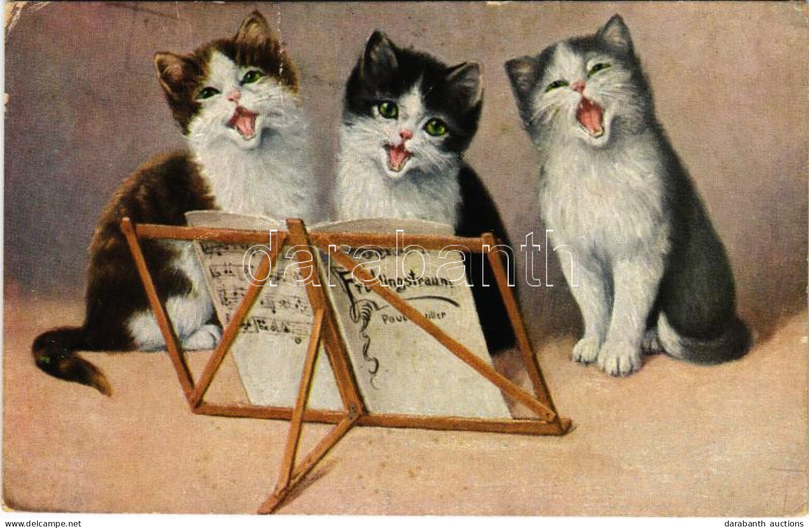 T3 Singing Cats (fa) - Non Classificati